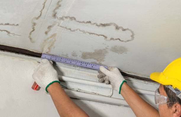 Reliable Mold Remediation contractor in Franklin, TN by Water Damage Irwin